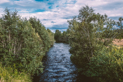 River amidst trees in forest against sky