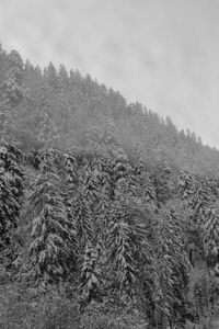 Scenic view of snow covered land against sky