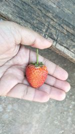 Close-up of hand holding strawberries