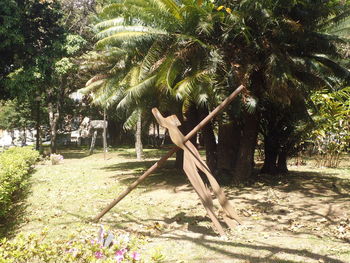 Palm trees on beach