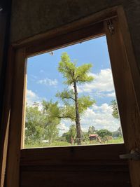 Low angle view of trees and building seen through window