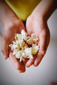 Close-up of hand holding flowers