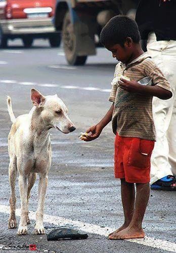 animal themes, domestic animals, street, full length, lifestyles, one animal, mammal, dog, casual clothing, leisure activity, pets, two animals, standing, incidental people, transportation, road, men, day