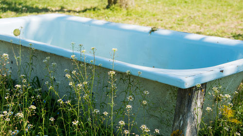 Old bathtub in the meadow