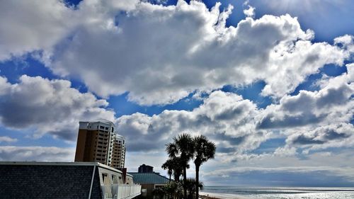 Low angle view of palm trees against sky