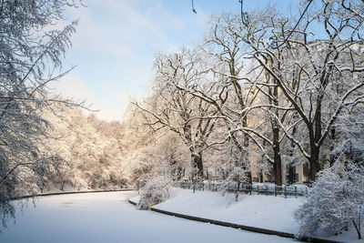 Frozen canal amidst snow covered trees