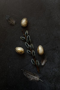 High angle view of seashells on table
