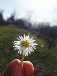 Close-up of hand holding flower against blurred background