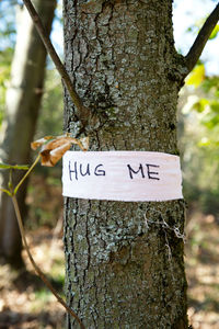 Close-up of text on tree trunk