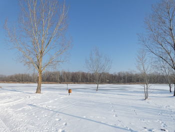 Bare trees on snow covered field against sky