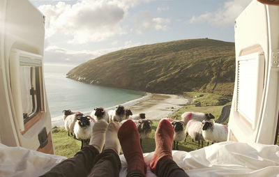 Anonymous travelers watching lambs pasturing on green hills while resting inside trailer in ireland