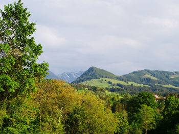 Scenic view of trees and mountains against sky