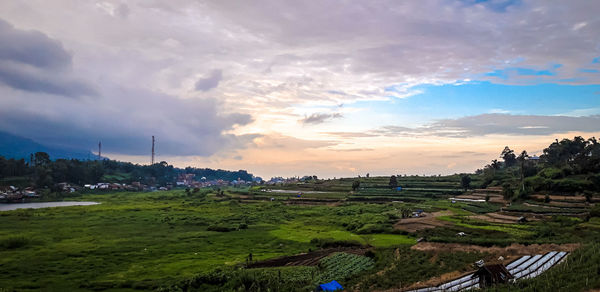 Scenic view of field against sky during sunset