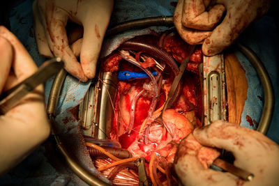 Cropped hand of person preparing food