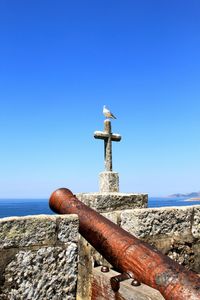 Cannon and seagull at fort against clear blue sky