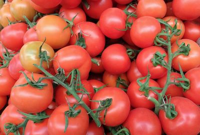 Full frame shot of tomatoes