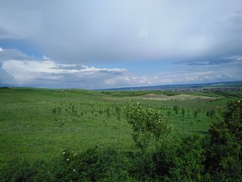 Scenic view of landscape against sky