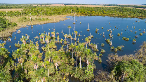 Aerial view of