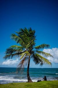 Scenic view of beach against blue sky