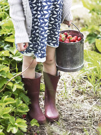 Girl with strawberries in buckets