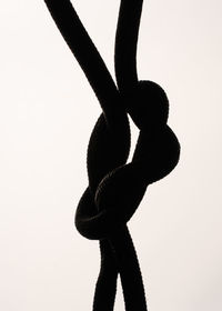 Close-up of rope against white background