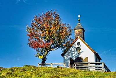 Low angle view of tree by building against sky