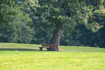 Empty bench in park