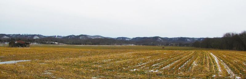 Scenic view of field against clear sky