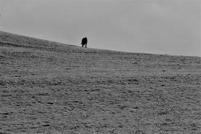 Man standing on beach against sky