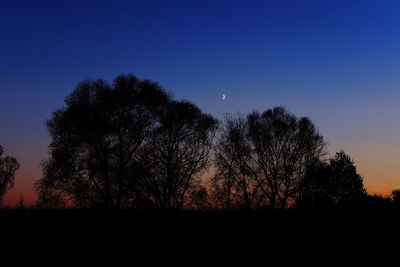 Silhouette trees against sky at night