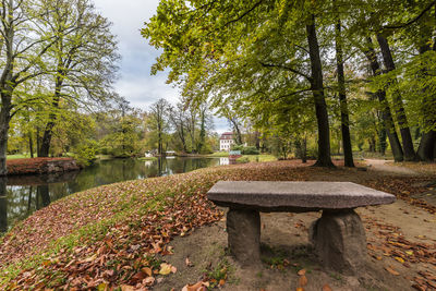 Bench by lake in park during autumn