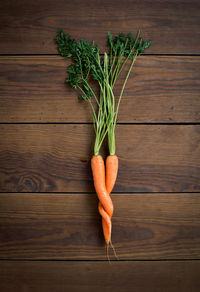 High angle view of vegetables on table