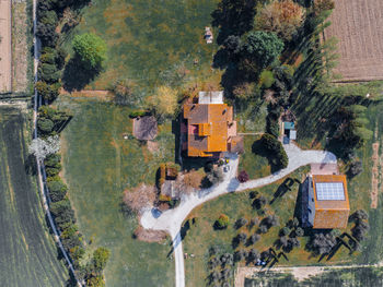 High angle view of trees and buildings in city