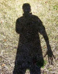 High angle view of shadow of man on wall
