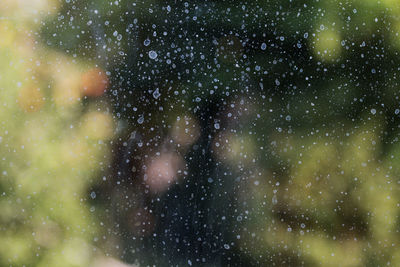 Full frame shot of wet glass window