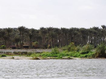 Scenic view of lake by trees against sky