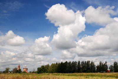 Trees on field against sky