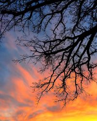 Low angle view of silhouette tree against orange sky