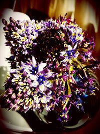 Close-up of purple flowers