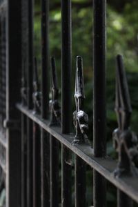 Close-up of metal fence