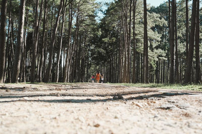 People on dirt road amidst trees in forest