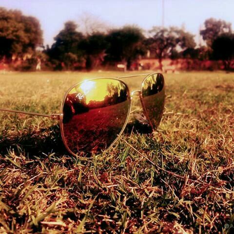 grass, field, grassy, surface level, focus on foreground, close-up, sunlight, landscape, selective focus, outdoors, nature, tree, tranquility, lens flare, no people, sunset, day, burning, sunbeam, flame