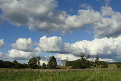 Panoramic view of field against sky