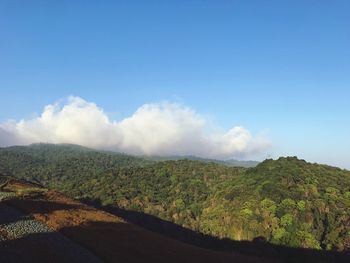 Scenic view of landscape against sky