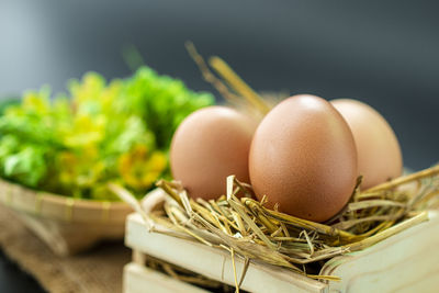 Organic chicken eggs with blurry cowslip creeper flower background raw food prepare for cook