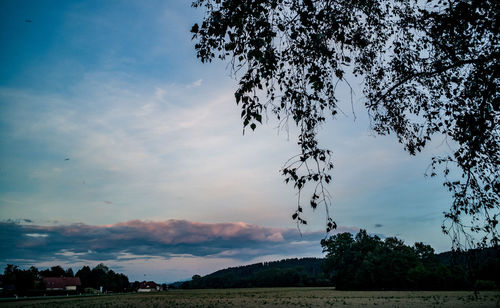 Low angle view of silhouette trees on field against sky