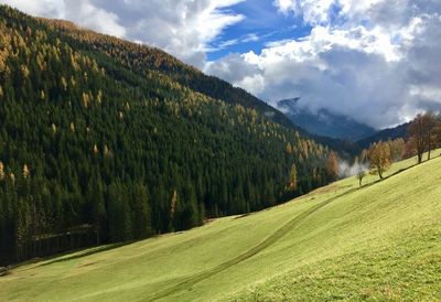 Scenic view of landscape against sky