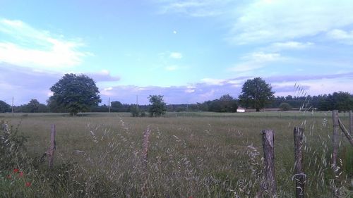 Scenic view of field against cloudy sky