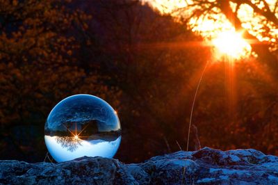 Close-up of crystal ball against trees during sunset