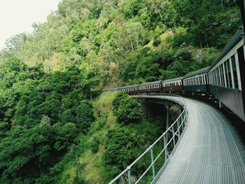 Bridge over river amidst trees